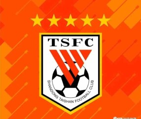 悦盈平台 -清晨欧篮联焦点战，山东泰山更衣室发声，目标明确，阵容厚度经受考验 