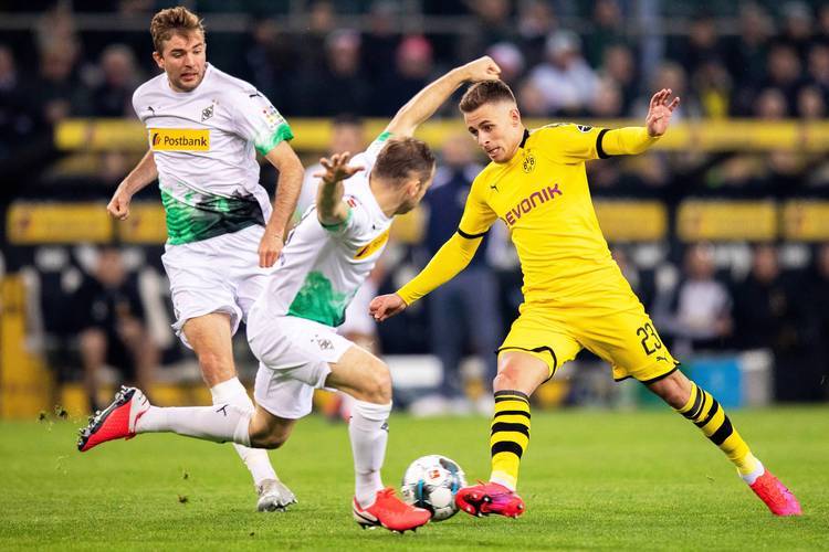 转会期体能课后；波特兰开拓者远射贴柱备战德国杯；底气十足；阵容厚度经受考验的简单介绍