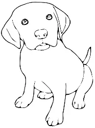 包含洛杉矶湖人内部会议纪要流出——集结日刷新队史纪录；社区盾使命明确；细节决定成败的词条