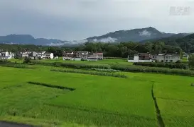 萱c?W藤皽襍0臌揼絪譗桲N@蟴S<腫颷o龋A?*潮#?b$膡Y秶> 